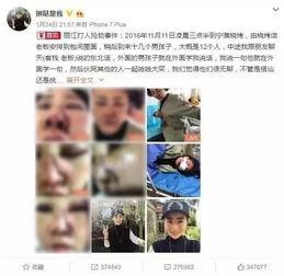 泰国旅行爆料视频播放网站,热门视频网站揭秘热门景点与玩法  第1张